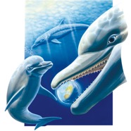 02 Delfin Cigler.jpg